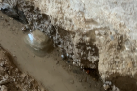 Ekran görüntüsü 2025-01-24 140240