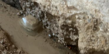 Ekran görüntüsü 2025-01-24 140240