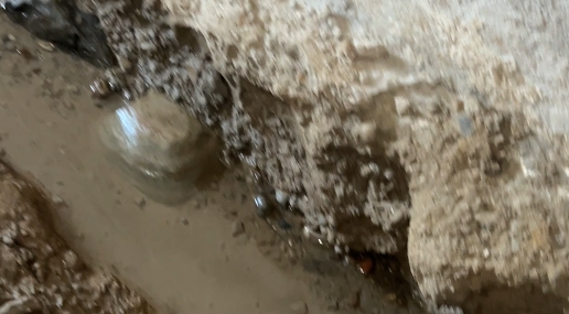 Beşiri’de su sızıntısı evde çökme tehlikesi yarattı. Aile sesini duyuramamaktan şikayetçi