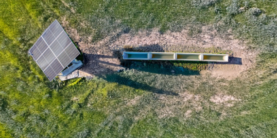 Batman’da kırsal kalkınmaya destek: Serçe parmak projesi hayata geçti