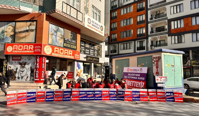 WhatsApp Image 2025-01-03 at 16.43.45