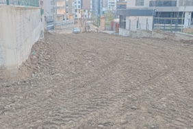 WhatsApp Image 2025-01-03 at 17.07.32 (2)