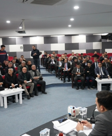 WhatsApp Image 2025-01-06 at 15.39.46