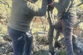 WhatsApp Image 2025-01-07 at 10.17.21 (1)