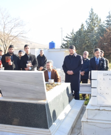 WhatsApp Image 2025-01-08 at 11.01.59