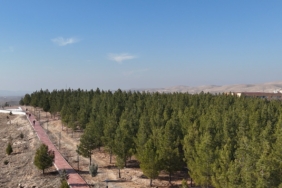 WhatsApp Image 2025-01-13 at 09.17.16