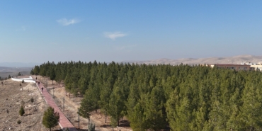 WhatsApp Image 2025-01-13 at 09.17.16