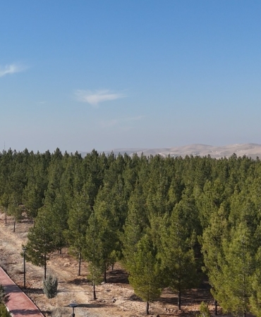 WhatsApp Image 2025-01-13 at 09.17.16