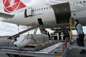 WhatsApp Image 2025-01-16 at 10.27.49