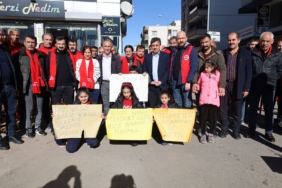 WhatsApp Image 2025-01-20 at 14.56.31 (1)