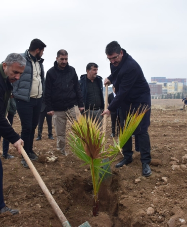 WhatsApp Image 2025-01-24 at 12.57.43