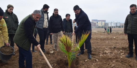 Milletvekili Ferhat Nasıroğlu fidan dikim etkinliğine katıldı
