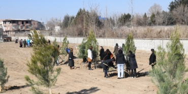 WhatsApp Image 2025-01-29 at 14.08.09