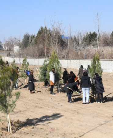 WhatsApp Image 2025-01-29 at 14.08.09