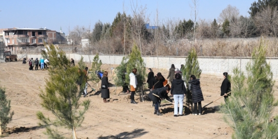 Bismil’de “Kadın Yaşam Parkı” oluşturdu