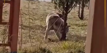 Ekran görüntüsü 2025-02-03 162122