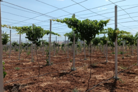 Ekran görüntüsü 2025-02-11 151618