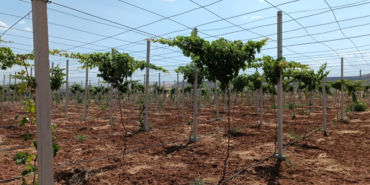 Ekran görüntüsü 2025-02-11 151618