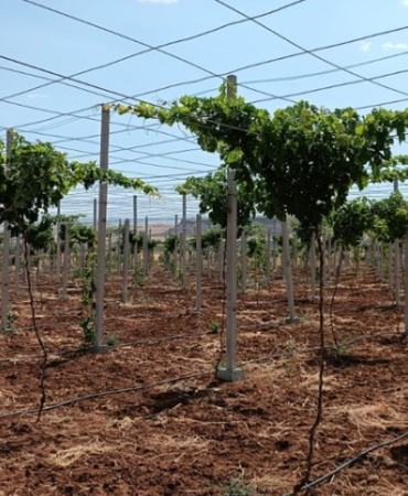 Ekran görüntüsü 2025-02-11 151618