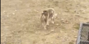 Ekran görüntüsü 2025-02-17 143703