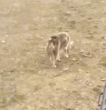 Ekran görüntüsü 2025-02-17 143703