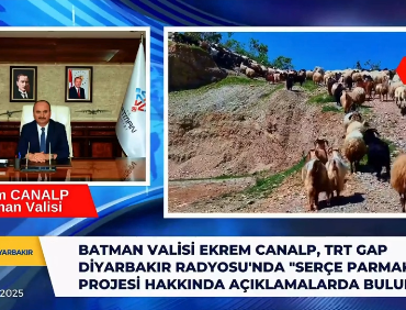 Ekran görüntüsü 2025-02-17 145508