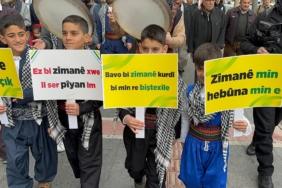 WhatsApp Image 2025-02-07 at 13.43.11