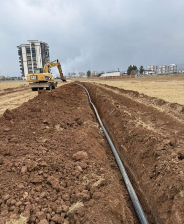 WhatsApp Image 2025-02-13 at 11.14.20 (1)