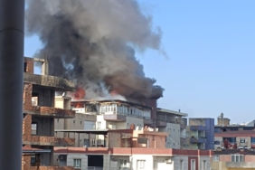 WhatsApp Image 2025-02-17 at 10.31.21