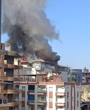 WhatsApp Image 2025-02-17 at 10.31.21