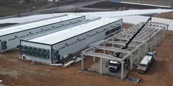 ŞAH-MAR, 150 bin tavukla doğal yumurta üretimine başlıyor