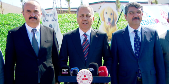 Batman’daki tüm köpekler 1 ay içerisinde toplanacak