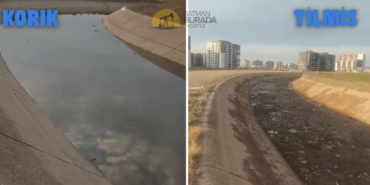 Ekran görüntüsü 2025-03-10 133436