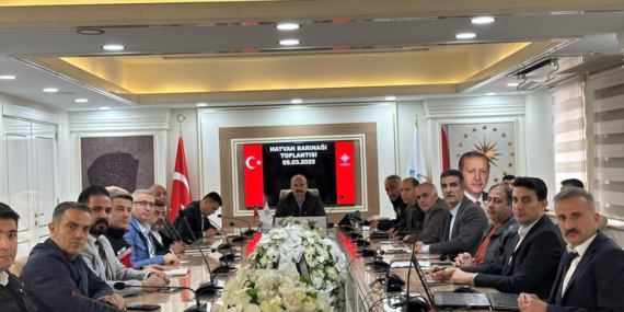 Batman’da sahipsiz hayvanlar için önemli toplantı düzenlendi