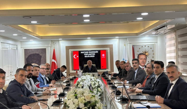 Ekran görüntüsü 2025-03-10 150302