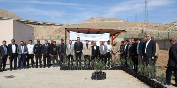 Hasankeyf’te 5 bin zeytin fidanı toprakla buluştu