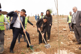 Ekran görüntüsü 2025-03-27 091520