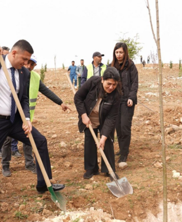 Ekran görüntüsü 2025-03-27 091520