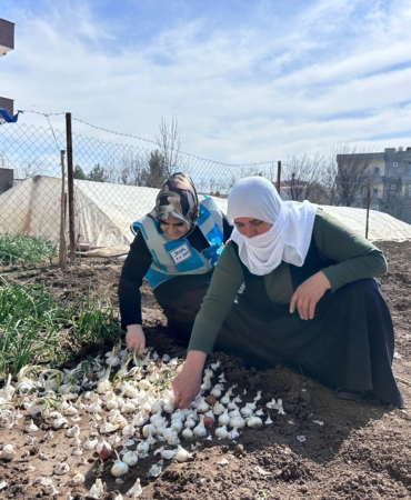 WhatsApp Image 2025-03-07 at 15.31.57