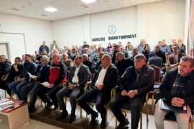 WhatsApp Image 2025-03-07 at 15.54.47 (2)