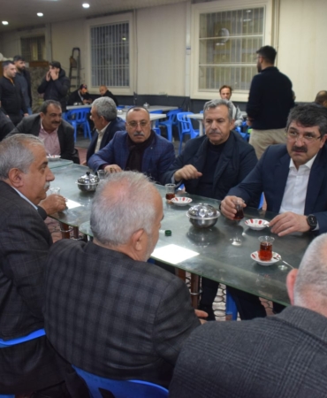 WhatsApp Image 2025-03-11 at 11.47.26