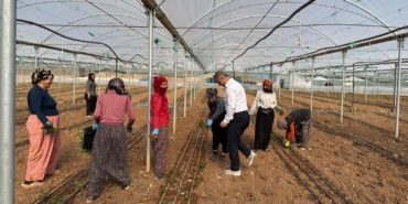 WhatsApp Image 2025-03-17 at 11.40.36