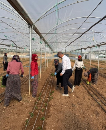 WhatsApp Image 2025-03-17 at 11.40.36