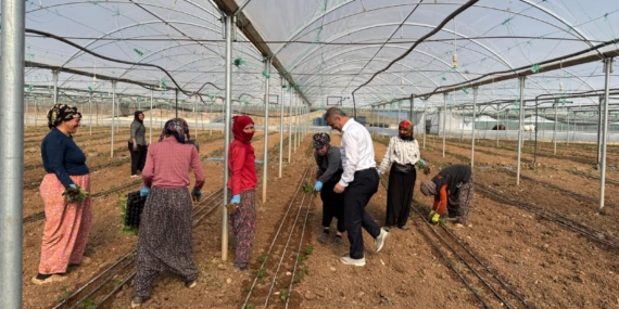 İl Başkanı Hüseyin Şansi, serada kadın çiftçilerle buluştu
