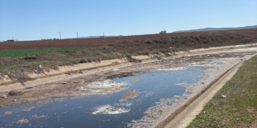 WhatsApp Image 2025-03-26 at 13.44.37