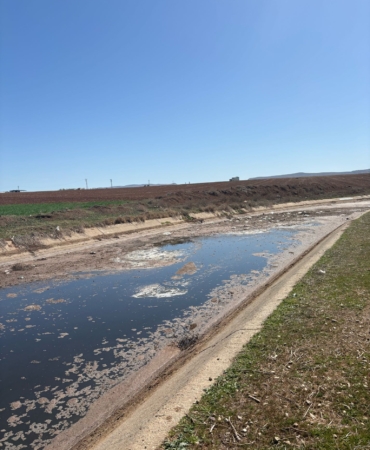 WhatsApp Image 2025-03-26 at 13.44.37