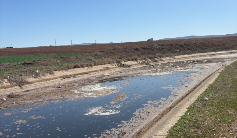 WhatsApp Image 2025-03-26 at 13.44.37