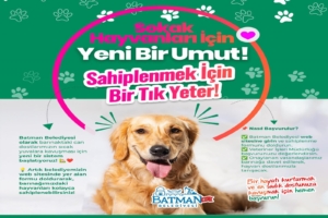 batman-belediyesi-20250317113326-7033
