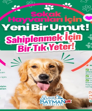 batman-belediyesi-20250317113326-7033