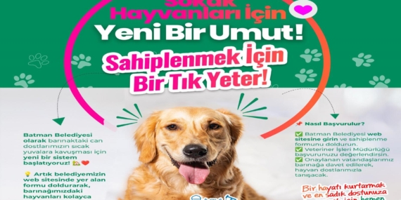 Batman Belediyesi’nden sokak hayvanları için sahiplendirme seferberliği